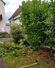 Schäfer Haus- und Gartenservice Bild 3