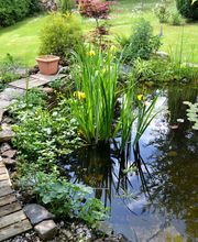 Keller Gartenservice Bild 1