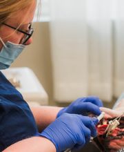 Cottleville Animal Hospital image 13