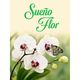 logo-floristeria.png