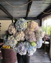 Atelier Flore image 12