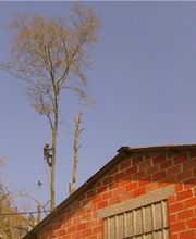 Dobigny Elagage image 8
