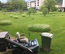 Biava Mattia - Giardiniere paesaggista Bild 6