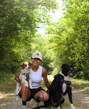 Pet's Heaven image 3
