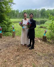 Shire in the Woods image 10