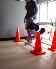 Best Care Pet Hospital image 17