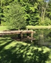 Artisan du Vert Thomas Oudin image 1