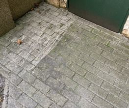 IMG_2984.jpeg