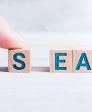 Mehr Umsatz und bessere Kunden durch Suchanzeigen-Kampagne (SEA)