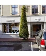 Opticien Krys image 2