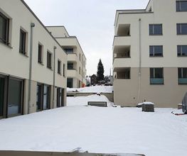 Verputzerarbeit-Wohnpark.jpg