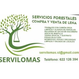logo_servilomas.jpg