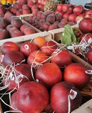 La Petite Jardinerie image 9