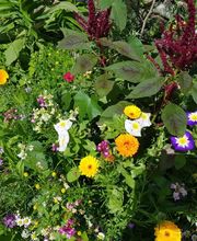 Winteler  GmbH Facility S plus Bild 7