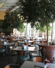 The Patio - Orland Park image 13