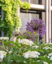 Kottmann-Kohler Gartenbau AG Bild 6