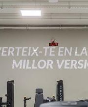 Gimnasio VivaGym Berlín imagen 3