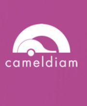 Camel Diam image 1