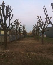 Entreprise JCL image 5