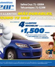 Refacciones Automotrices Salazar imagen 2