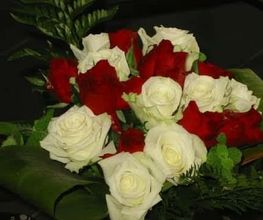 Audrey Fleurs image 17