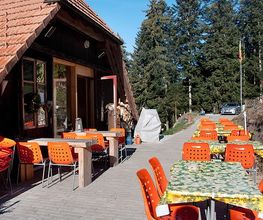 Waldrand Beizli Bild 14