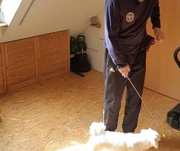 Hundeschule HundZunft Bild 6