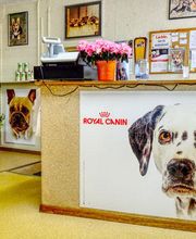 Tierpension Lanzenen Bild 2