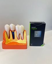 PURE SMILE - Cabinet Dentaire Montreux Bild 4