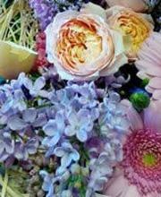 Marion les Fleurs image 7