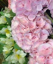 Fleur Evasion Sàrl Bild 7