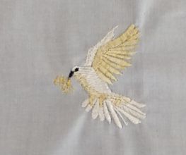 229048236-1-Aa2d2B7ZUr1618336196394.jpeg