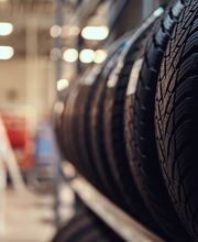 Erdem Automobile Bild 4