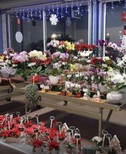 FLEURS ET JARDINS DU CHERAN image 1