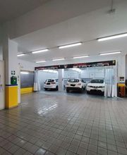 Gallery Cliente