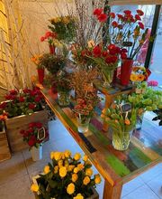 Blumen Müller Bild 5