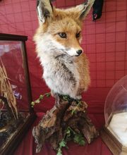 Lanaud Petot Virginie image 3