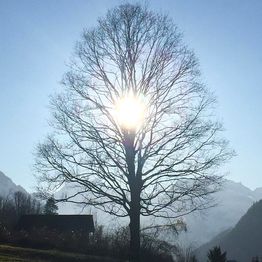 Hypnosetherapie Gerda Hauser