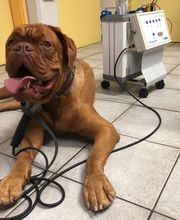 Tierärzte Team Aurora AG Bild 3