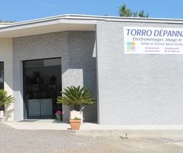 Torro Dépannage image 10