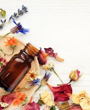 BIOSOL CANARIAS imagen 1