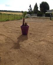 Anthony Espaces Verts SARL image 1