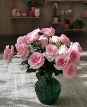 Floranthea SARL image 4