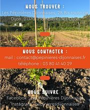 Pépinières Dijonnaises image 1