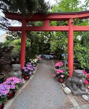 Baumschule Popp Bild 3