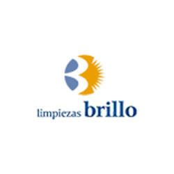 brillo_logo.jpg