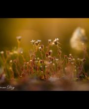 Styl'Art Photo image 1