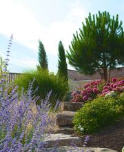 Daniel Moquet signe vos jardins - Ent. Babad image 10