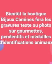 Bijoux Camines image 3