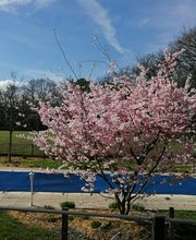 Fondation Mimosas Bild 5